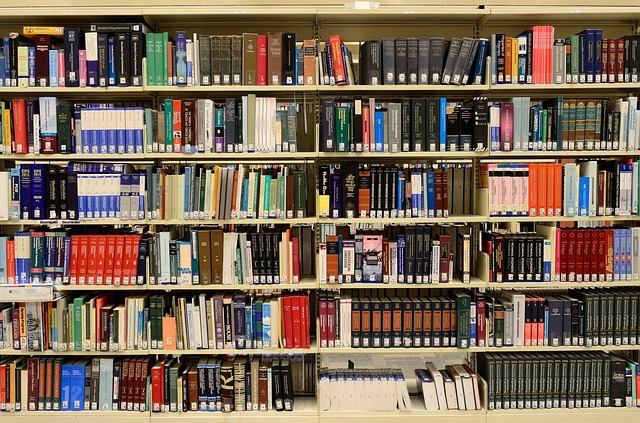 Picture of many books on shelf from How to Publish